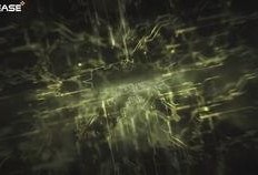 外国人爆料吃鸡视频,揭秘中国“吃鸡”游戏背后的真实场景